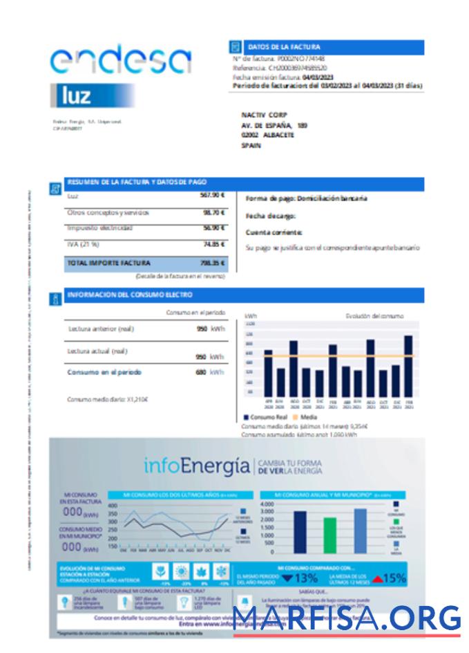 Downloadable Endesa luz utility business bill SCR sample